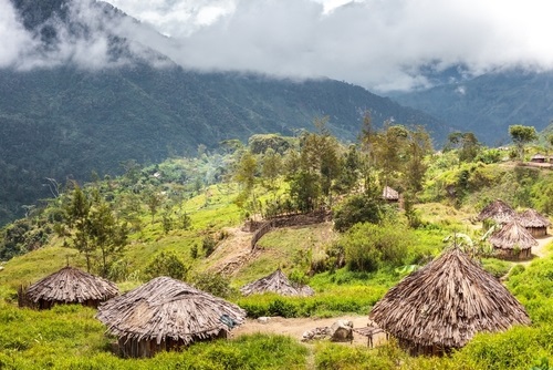 Jenis-jenis Rumah Adat Honai - WonderVerse Indonesia