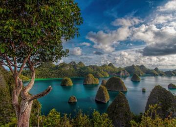 Perairan Raja Ampat Menarik Wisatawan - WonderVerse Indonesia