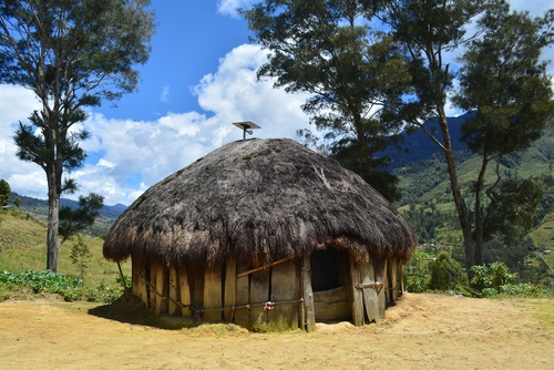 Sejarah Rumah Adat Honai - WonderVerse Indonesia