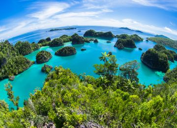 Rekomendasi Wisata Alam Raja Ampat - WonderVerse Indonesia