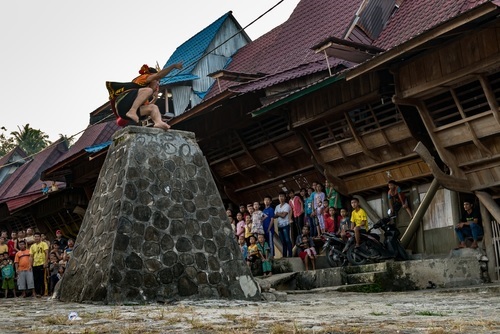 Keunikan Fahombo - WonderVerse Indonesia