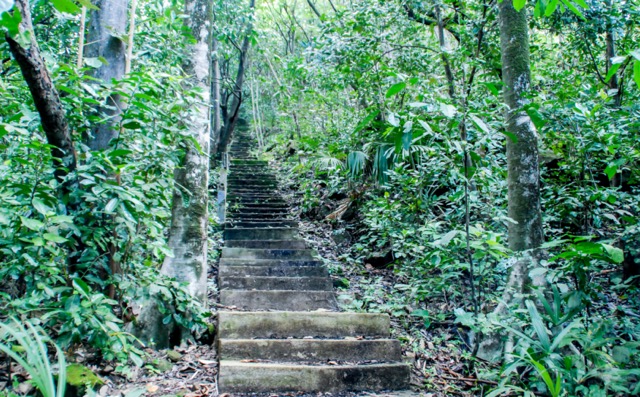  Aktivitas di Taman Nasional Ujung Kulon - WonderVerse Indonesia