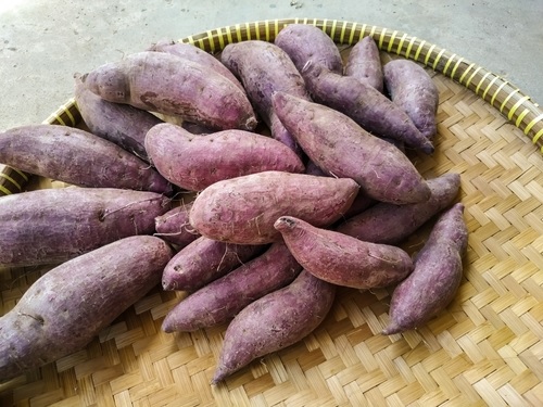 Makanan Khas Nias Gowi Nifufu - WonderVerse Indonesia