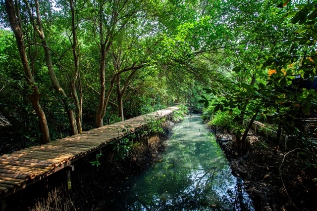 Fungsi Hutan Wisata - WonderVerse Indonesia