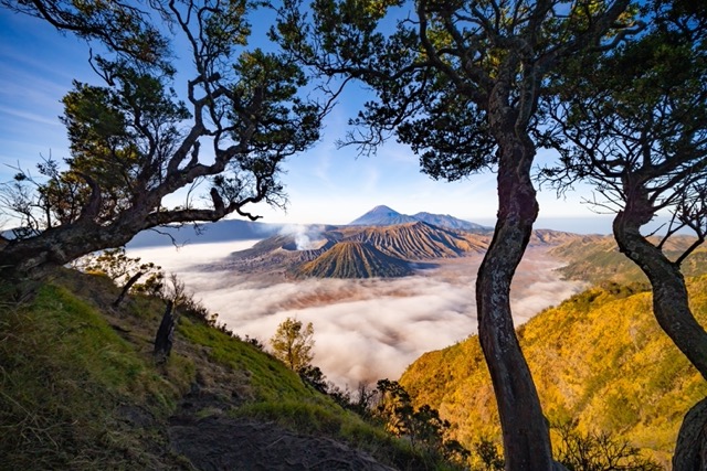 Cara ke Taman Nasional Bromo Tengger Semeru - WonderVerse Indonesia