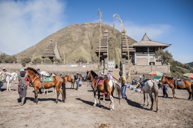 Aktivitas di Taman Nasional Bromo Tengger Semeru - WonderVerse Indonesia