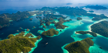 Pesona Bawah Laut Raja Ampat dan Spot Menyelamnya