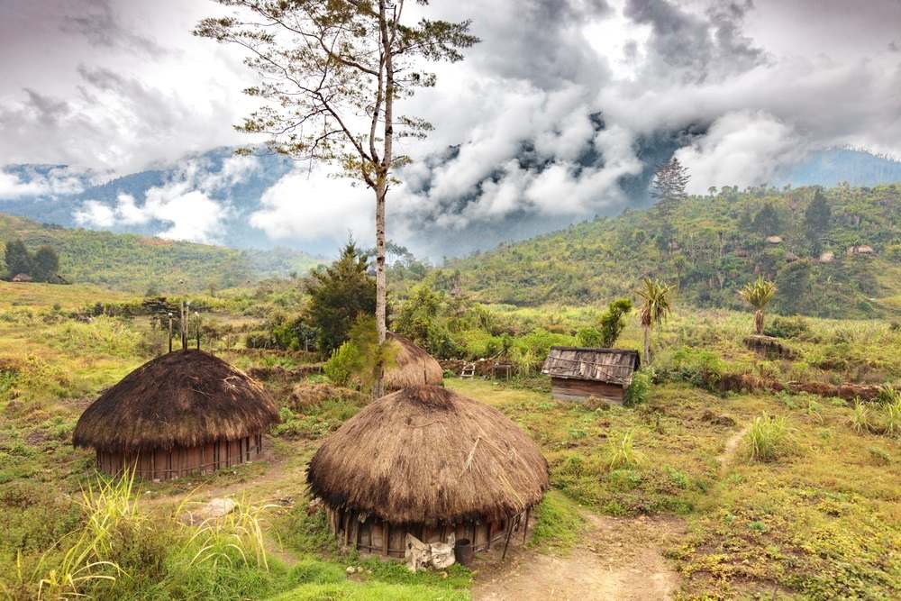 9 Rumah Adat Papua, Simbol Kebersamaan Masyarakat yang Unik