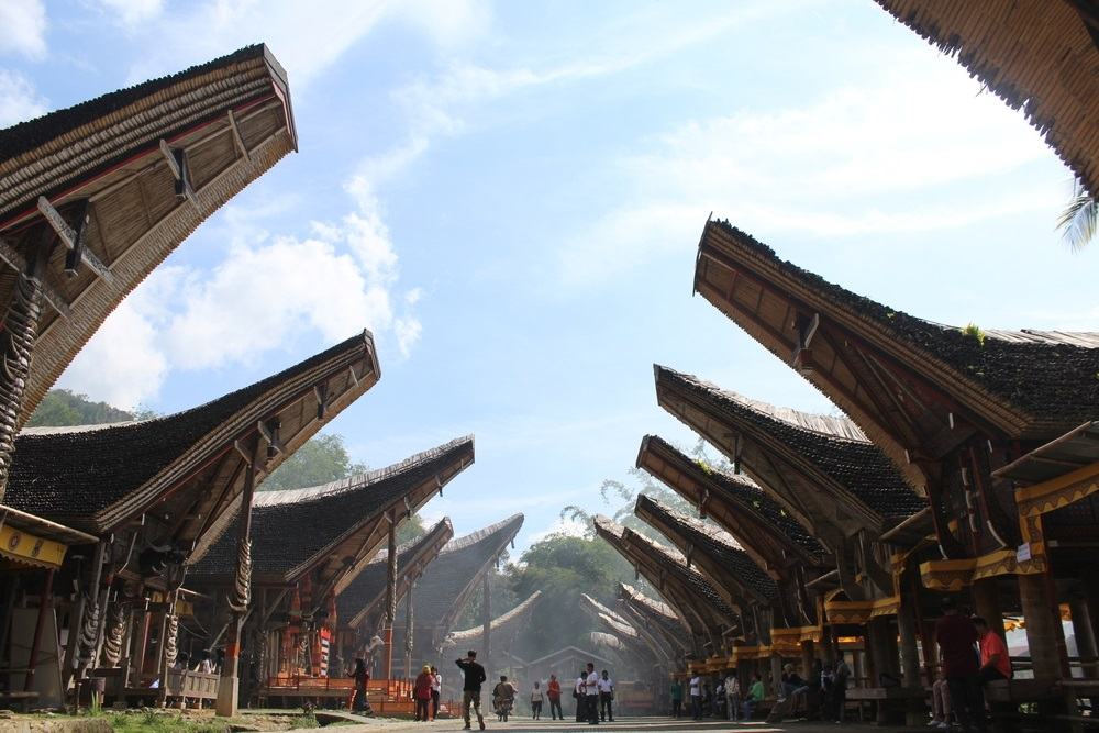 Mengenal Suku Toraja dan Tradisi Unik yang Tetap Dijaga