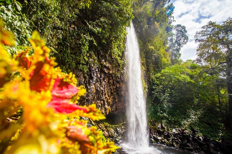 Air Terjun Lembah Anai yang Damai di Sumatera Barat