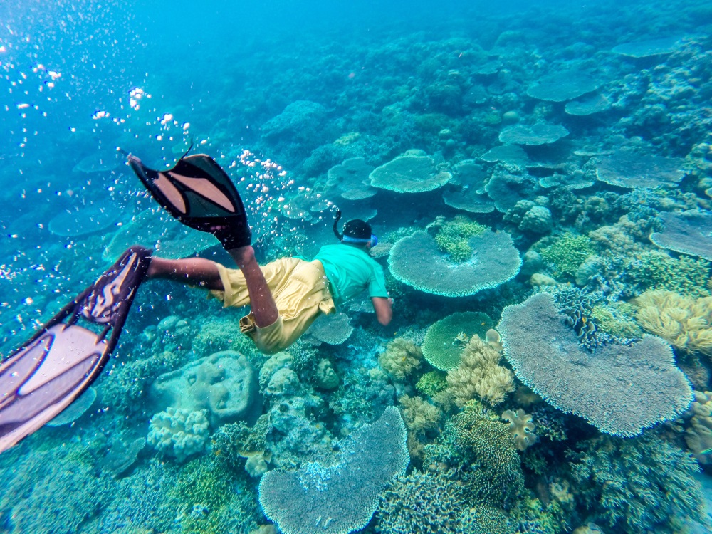 Taman Nasional Wakatobi dan Daya Tarik Surga Bawah Lautnya!