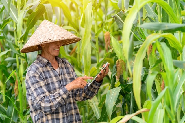 Teknologi Pangan dan Ragam Tujuannya untuk Hidup Manusia